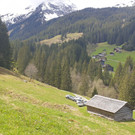 Spora9.jpg