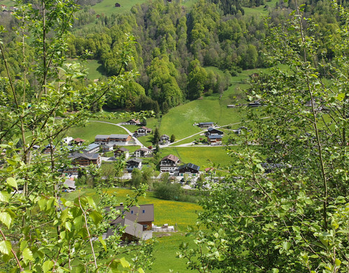 Wegwart9.jpg
