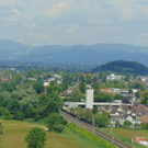 goetzis2.jpg