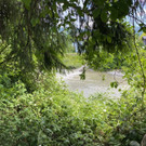 IMG_3358.JPG