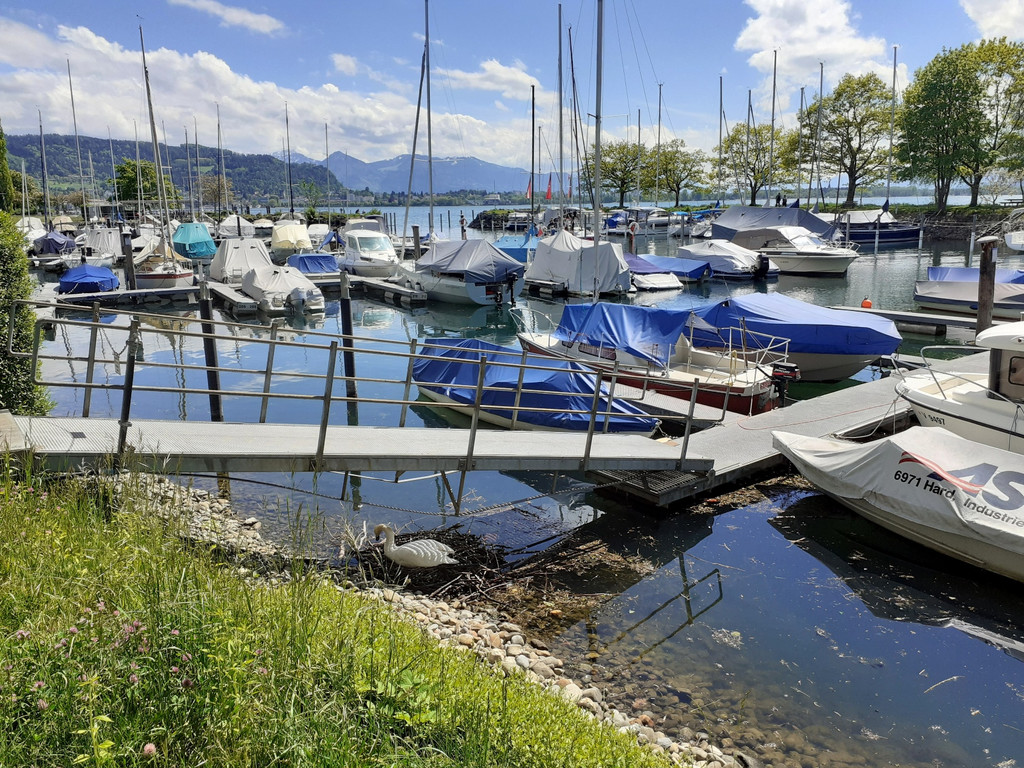 RADROUTE Umgebung B HAFEN Mai 2021 _1_.jpg