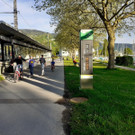 Rad Z__hlstelle Lochau E 146_700 am 23-05-2021 _1_.jpg