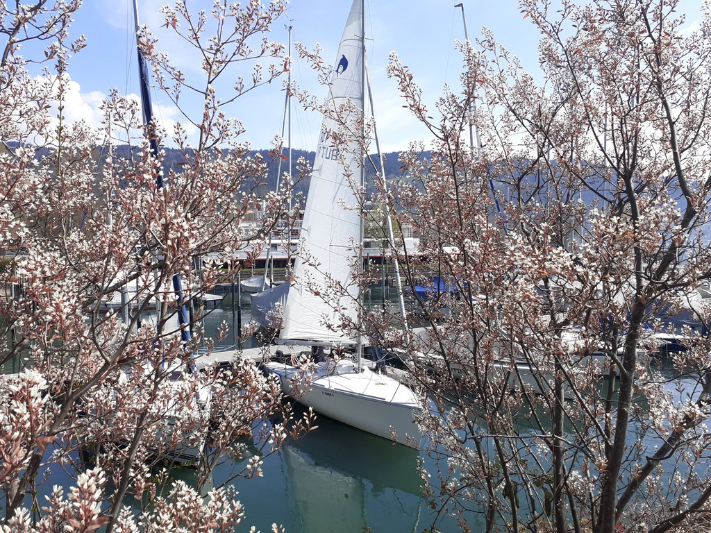 RADROUTE Umgebung B HAFEN Mai 2021 _6_.jpg