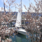 RADROUTE Umgebung B HAFEN Mai 2021 _6_.jpg