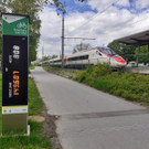 Rad Z__hlstelle Lochau G 149_600 am 25-05-2021 _3_.jpg