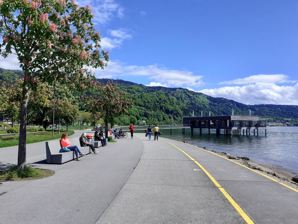 RADROUTE Umgebung C KAISERSTRAND Mai 2021 _1_.jpg