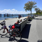 RADROUTE Umgebung C KAISERSTRAND Mai 2021 _3_.jpg