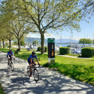 Rad Z__hlstelle Lochau K 169_270 am 31-05-2021 _2_.jpg