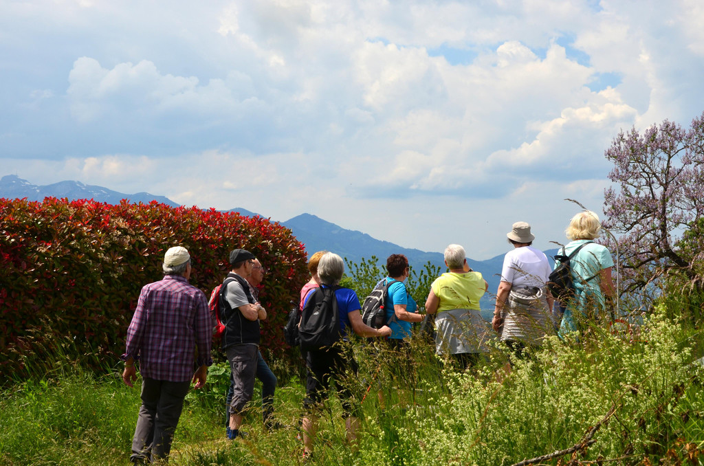 Wanderung 020621_9.JPG