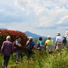 Wanderung 020621_9.JPG