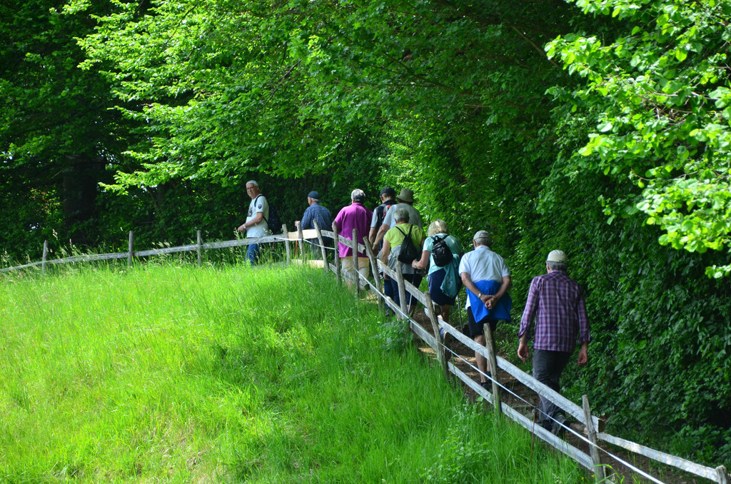Wanderung 020621_14.JPG