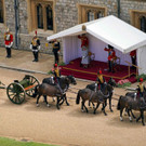AFP_9BX7Y7.jpg