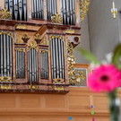DSC_0376 _1_.jpg