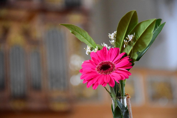 DSC_0381 _1_.jpg