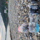 image00004.jpeg