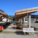 IMG_5769.JPG
