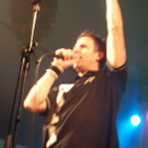 806312.jpg