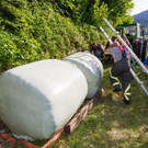 20210615DalaasUnfall-027.jpg