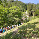 Seniorenbund Themenwanderung Kräuter und Blumen im Brandnertal