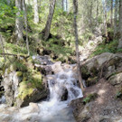 IMG_20210616_101912.jpg