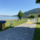 IMG_3736.JPG