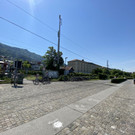 IMG_3731.JPG