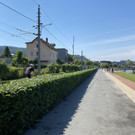 IMG_3728.JPG
