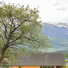 1_2_T1A7557 - Kopie.jpg