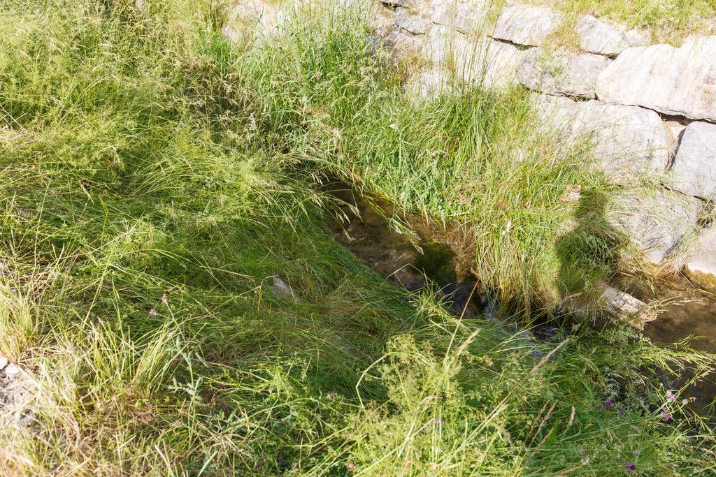 20210618SchlinsUnfall-010.jpg