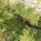 20210618SchlinsUnfall-010.jpg