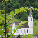 DSC_0051 _1_.jpg