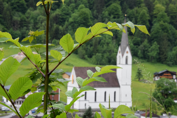 DSC_0051 _1_.jpg