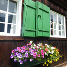 P1050733.JPG