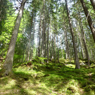 P1050749.JPG