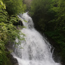 BZGC3579.JPG