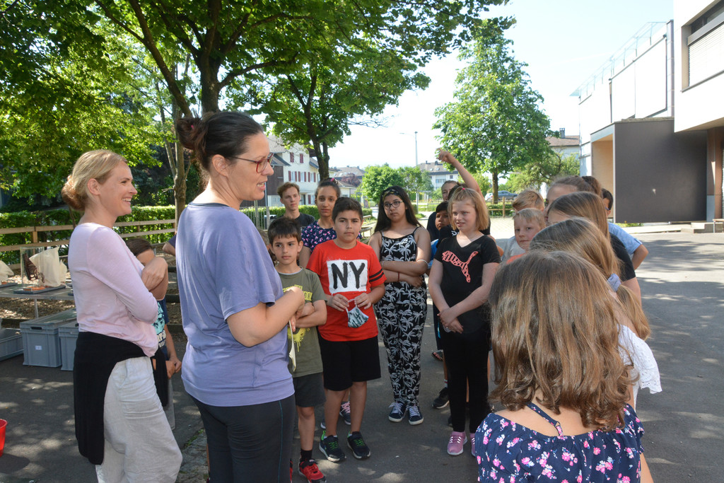 knifflige Fragen.jpg