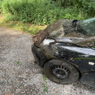 IMG_3845.JPG