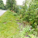 20210623RaggalUnfall-022.jpg