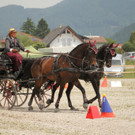 Gold für Stefan Bösch
