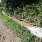 normal_270809aufraeumunguwhd__2816_29.jpg