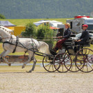 Viechtwang Dressurtag II 2021 767.jpg