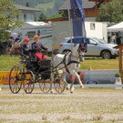 Viechtwang Dressurtag II 2021 773.jpg