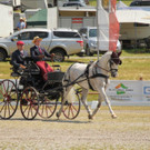 Viechtwang Dressurtag II 2021 829.jpg
