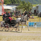 Viechtwang Dressurtag II 2021 831.jpg