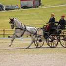Viechtwang Dressurtag II 2021 836.jpg