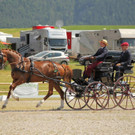 Viechtwang Dressurtag II 2021 1106.jpg