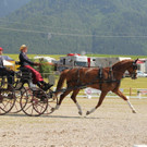 Viechtwang Dressurtag II 2021 1113.jpg