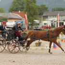 Viechtwang Kegelfahren 2021 583.jpg