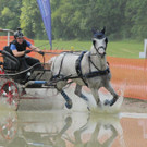 Viechtwang Marathon 2021 1064.jpg