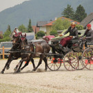 Viechtwang Kegelfahren 2021 871.jpg